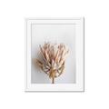 Picture of Soft Pink _GroupedProduct_Rectangle_Portrait_Photography _GroupedProduct_Rectangle_Portrait_Framed_Matted_