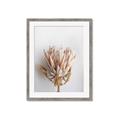 Picture of Soft Pink _GroupedProduct_Rectangle_Portrait_Photography _GroupedProduct_Rectangle_Portrait_Framed_Matted_