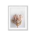 Picture of Soft Pink _GroupedProduct_Rectangle_Portrait_Photography _GroupedProduct_Rectangle_Portrait_Framed_Matted_