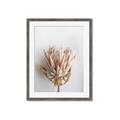 Picture of Soft Pink _GroupedProduct_Rectangle_Portrait_Photography _GroupedProduct_Rectangle_Portrait_Framed_Matted_
