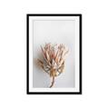 Picture of Soft Pink _GroupedProduct_Rectangle_Portrait_Photography _GroupedProduct_Rectangle_Portrait_Framed_Matted_