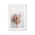 Picture of Soft Pink _GroupedProduct_Rectangle_Portrait_Photography _GroupedProduct_Rectangle_Portrait_Framed_Matted_