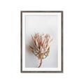 Picture of Soft Pink _GroupedProduct_Rectangle_Portrait_Photography _GroupedProduct_Rectangle_Portrait_Framed_Matted_