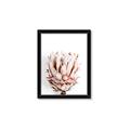 Picture of Soft Protea _GroupedProduct_Rectangle_Portrait_Photography _GroupedProduct_Rectangle_Portrait_Framed_Matted_