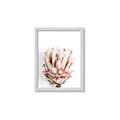 Picture of Soft Protea _GroupedProduct_Rectangle_Portrait_Photography _GroupedProduct_Rectangle_Portrait_Framed_Matted_