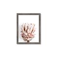 Picture of Soft Protea _GroupedProduct_Rectangle_Portrait_Photography _GroupedProduct_Rectangle_Portrait_Framed_Matted_