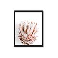 Picture of Soft Protea _GroupedProduct_Rectangle_Portrait_Photography _GroupedProduct_Rectangle_Portrait_Framed_Matted_