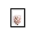 Picture of Soft Protea _GroupedProduct_Rectangle_Portrait_Photography _GroupedProduct_Rectangle_Portrait_Framed_Matted_