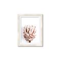 Picture of Soft Protea _GroupedProduct_Rectangle_Portrait_Photography _GroupedProduct_Rectangle_Portrait_Framed_Matted_