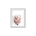 Picture of Soft Protea _GroupedProduct_Rectangle_Portrait_Photography _GroupedProduct_Rectangle_Portrait_Framed_Matted_