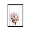 Picture of Soft Protea _GroupedProduct_Rectangle_Portrait_Photography _GroupedProduct_Rectangle_Portrait_Framed_Matted_