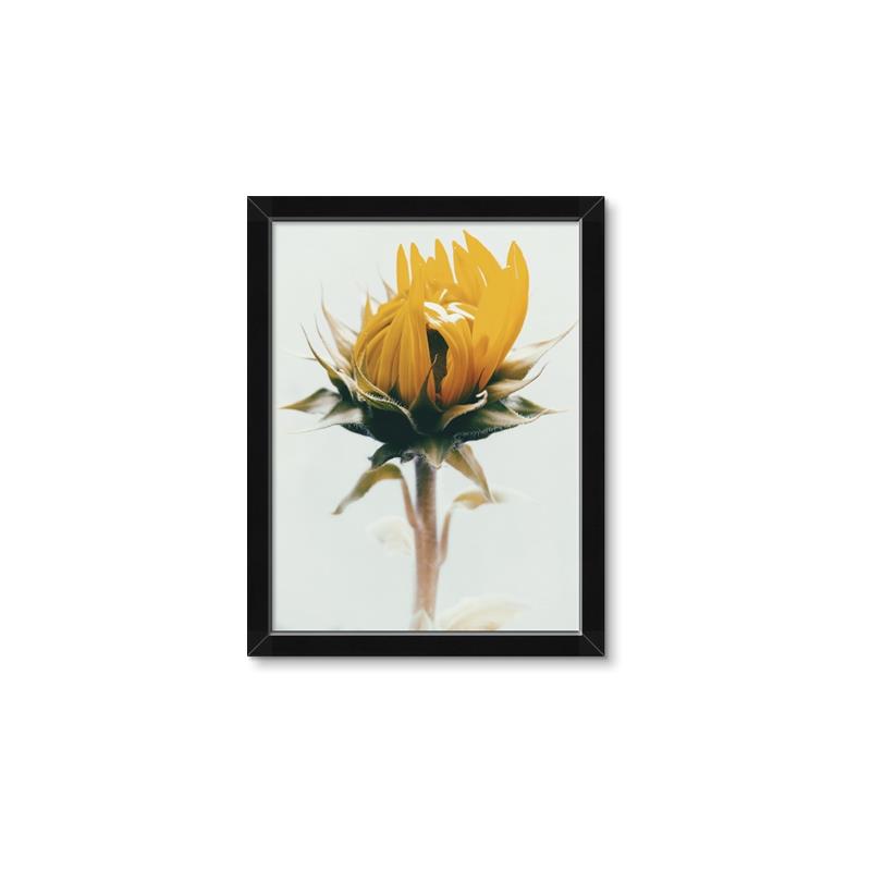 Picture of Yellow Bloom _GroupedProduct_Rectangle_Portrait_Photography _GroupedProduct_Rectangle_Portrait_Framed_Matted_