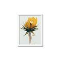 Picture of Yellow Bloom _GroupedProduct_Rectangle_Portrait_Photography _GroupedProduct_Rectangle_Portrait_Framed_Matted_