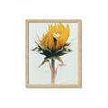 Picture of Yellow Bloom _GroupedProduct_Rectangle_Portrait_Photography _GroupedProduct_Rectangle_Portrait_Framed_Matted_