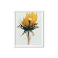 Picture of Yellow Bloom _GroupedProduct_Rectangle_Portrait_Photography _GroupedProduct_Rectangle_Portrait_Framed_Matted_