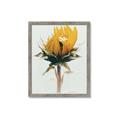 Picture of Yellow Bloom _GroupedProduct_Rectangle_Portrait_Photography _GroupedProduct_Rectangle_Portrait_Framed_Matted_