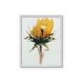 Picture of Yellow Bloom _GroupedProduct_Rectangle_Portrait_Photography _GroupedProduct_Rectangle_Portrait_Framed_Matted_