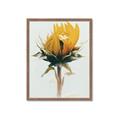 Picture of Yellow Bloom _GroupedProduct_Rectangle_Portrait_Photography _GroupedProduct_Rectangle_Portrait_Framed_Matted_