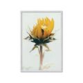 Picture of Yellow Bloom _GroupedProduct_Rectangle_Portrait_Photography _GroupedProduct_Rectangle_Portrait_Framed_Matted_