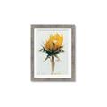 Picture of Yellow Bloom _GroupedProduct_Rectangle_Portrait_Photography _GroupedProduct_Rectangle_Portrait_Framed_Matted_