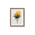 Picture of Yellow Bloom _GroupedProduct_Rectangle_Portrait_Photography _GroupedProduct_Rectangle_Portrait_Framed_Matted_