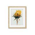 Picture of Yellow Bloom _GroupedProduct_Rectangle_Portrait_Photography _GroupedProduct_Rectangle_Portrait_Framed_Matted_