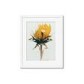 Picture of Yellow Bloom _GroupedProduct_Rectangle_Portrait_Photography _GroupedProduct_Rectangle_Portrait_Framed_Matted_