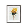 Picture of Yellow Bloom _GroupedProduct_Rectangle_Portrait_Photography _GroupedProduct_Rectangle_Portrait_Framed_Matted_