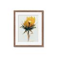 Picture of Yellow Bloom _GroupedProduct_Rectangle_Portrait_Photography _GroupedProduct_Rectangle_Portrait_Framed_Matted_