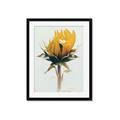 Picture of Yellow Bloom _GroupedProduct_Rectangle_Portrait_Photography _GroupedProduct_Rectangle_Portrait_Framed_Matted_