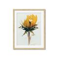 Picture of Yellow Bloom _GroupedProduct_Rectangle_Portrait_Photography _GroupedProduct_Rectangle_Portrait_Framed_Matted_