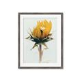 Picture of Yellow Bloom _GroupedProduct_Rectangle_Portrait_Photography _GroupedProduct_Rectangle_Portrait_Framed_Matted_