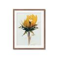Picture of Yellow Bloom _GroupedProduct_Rectangle_Portrait_Photography _GroupedProduct_Rectangle_Portrait_Framed_Matted_