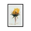 Picture of Yellow Bloom _GroupedProduct_Rectangle_Portrait_Photography _GroupedProduct_Rectangle_Portrait_Framed_Matted_