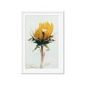 Picture of Yellow Bloom _GroupedProduct_Rectangle_Portrait_Photography _GroupedProduct_Rectangle_Portrait_Framed_Matted_