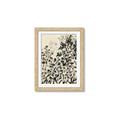 Picture of Shadow Garden I  _GroupedProduct_Rectangle_Portrait_Framed_Matted_