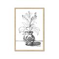 Picture of Hand Drawn Vase _GroupedProduct_Rectangle_Portrait_Framed_Matted_