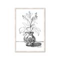 Picture of Hand Drawn Vase _GroupedProduct_Rectangle_Portrait_Framed_Matted_
