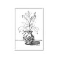 Picture of Hand Drawn Vase _GroupedProduct_Rectangle_Portrait_Framed_Matted_