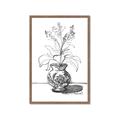 Picture of Hand Drawn Vase _GroupedProduct_Rectangle_Portrait_Framed_Matted_