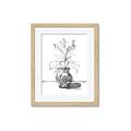Picture of Hand Drawn Vase _GroupedProduct_Rectangle_Portrait_Framed_Matted_