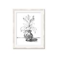 Picture of Hand Drawn Vase _GroupedProduct_Rectangle_Portrait_Framed_Matted_