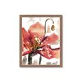 Picture of Red Poppies II _GroupedProduct_Rectangle_Portrait_Framed_Matted_