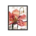 Picture of Red Poppies II _GroupedProduct_Rectangle_Portrait_Framed_Matted_