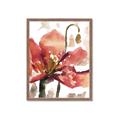 Picture of Red Poppies II _GroupedProduct_Rectangle_Portrait_Framed_Matted_