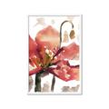 Picture of Red Poppies II _GroupedProduct_Rectangle_Portrait_Framed_Matted_