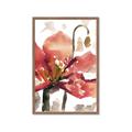 Picture of Red Poppies II _GroupedProduct_Rectangle_Portrait_Framed_Matted_