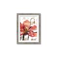 Picture of Red Poppies II _GroupedProduct_Rectangle_Portrait_Framed_Matted_