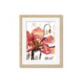 Picture of Red Poppies II _GroupedProduct_Rectangle_Portrait_Framed_Matted_