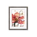 Picture of Red Poppies II _GroupedProduct_Rectangle_Portrait_Framed_Matted_
